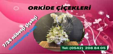 Öğretmenler günü